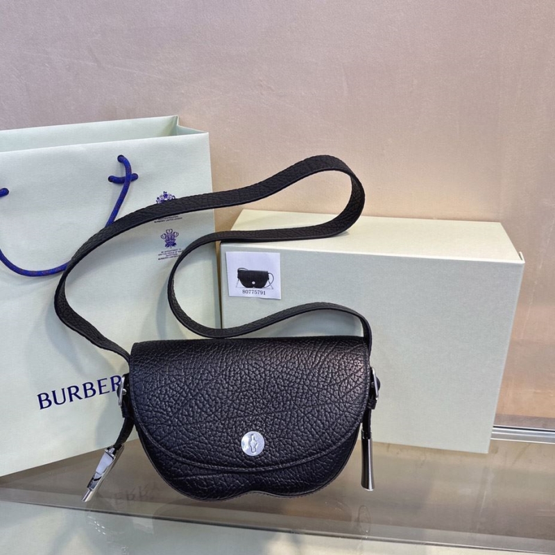 B**rry satchel bags